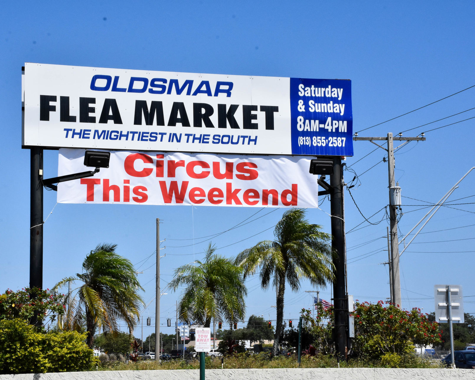 PI0619oldsflea2.jpg